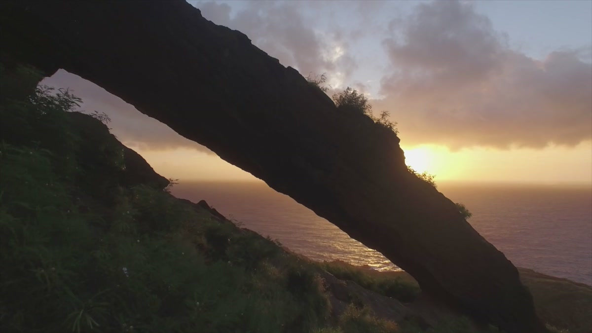 Hawaiʻi, the land we stand for